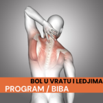 PRAVILNO OBAVLJANJE DNEVNIH AKTIVNOSTI I BOL U VRATU I LEDJIMA BIBA