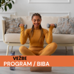 PROGRAM VEŽBI – BIBA